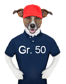 SOMMER T-Shirt - Sweatshirt - Bluse - Gr.50