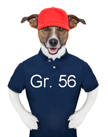 SOMMER T-Shirt - Sweatshirt - Bluse - Gr.56