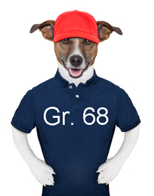 SOMMER T-Shirt - Sweatshirt - Bluse - Gr.68