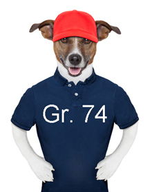 SOMMER T-Shirt - Sweatshirt - Bluse - Gr.74