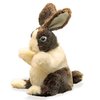 Folkmanis Handpuppe Hasenbaby Handspielpuppe Baby Dutch Rabbit 2571