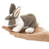 Folkmanis Fingerpuppe Häschen - Mini Bunny Rabbit 2727