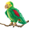 Folkmanis Handpuppe Amazonen-Papagei - Amazon Parrot 2592
