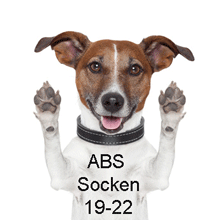 Sterntaler ABS + Motiv Socken Gr. 19/22